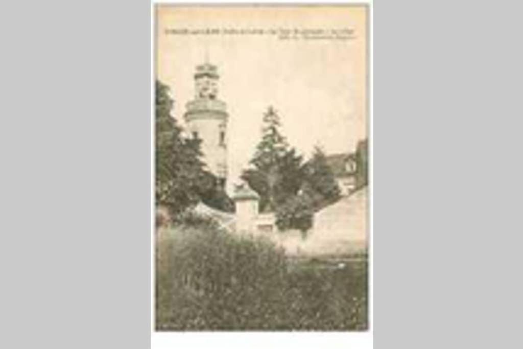 Chouzé-sur-LoireLe Logis De La Tour Saint Jacques别墅 外观 照片