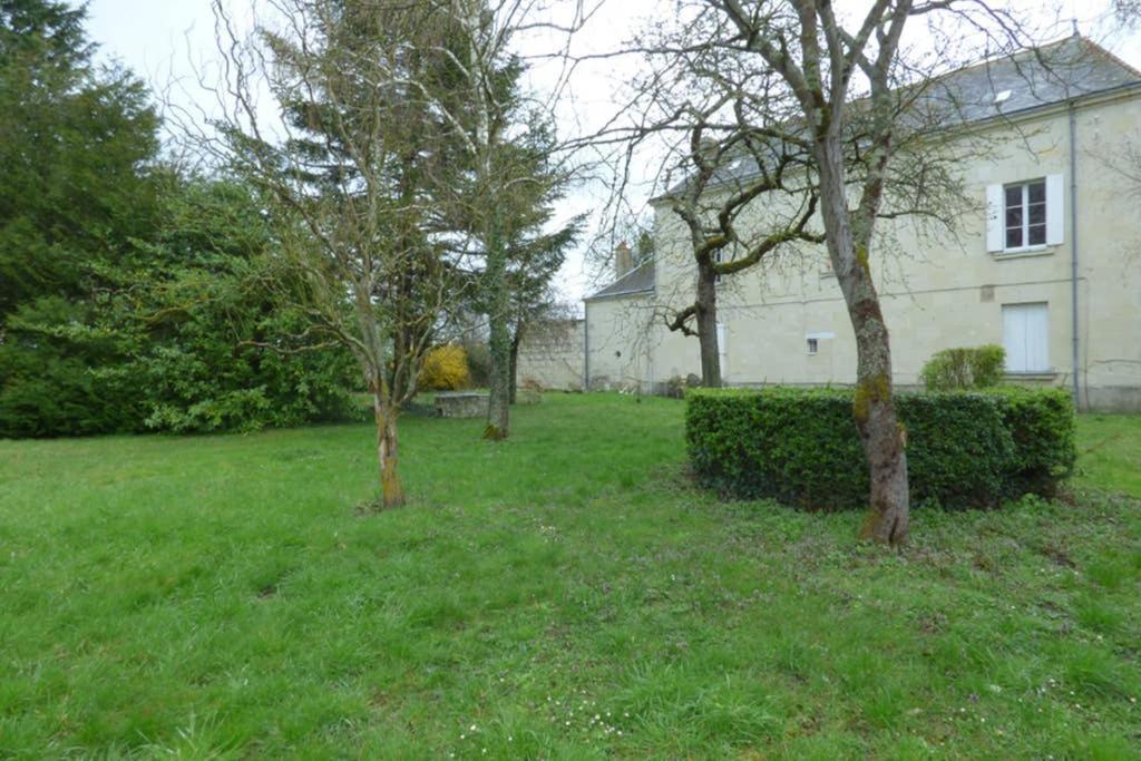 Chouzé-sur-LoireLe Logis De La Tour Saint Jacques别墅 外观 照片