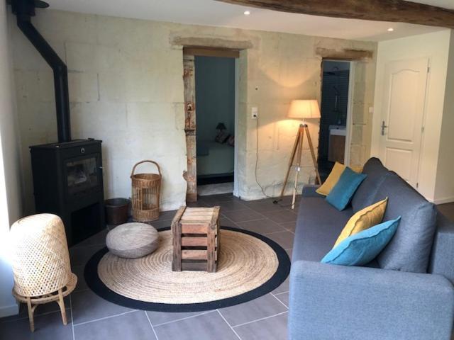 Chouzé-sur-LoireLe Logis De La Tour Saint Jacques别墅 外观 照片